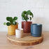 Oslo Planters - Brick - Plantsmith | Indoor Plants Melbourne